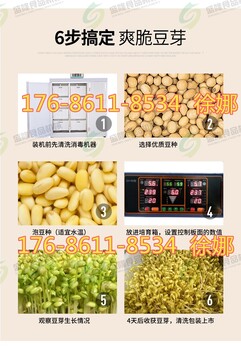 豆芽机家用全自动多功能大型豆芽机四川广元今日新家用豆芽机