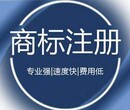 泰安注册商标需要的材料及流程