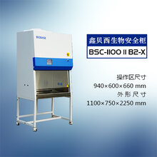 生物安全柜厂家鑫贝西生物安全柜图片