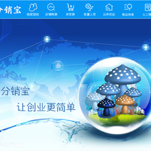 加盟店淘分銷軟件店鋪百單運營技術小程序定制貼牌