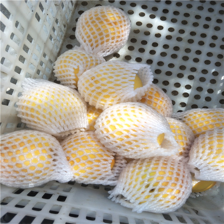 哪里出售杏樹苗，杏樹畝產(chǎn)多少斤