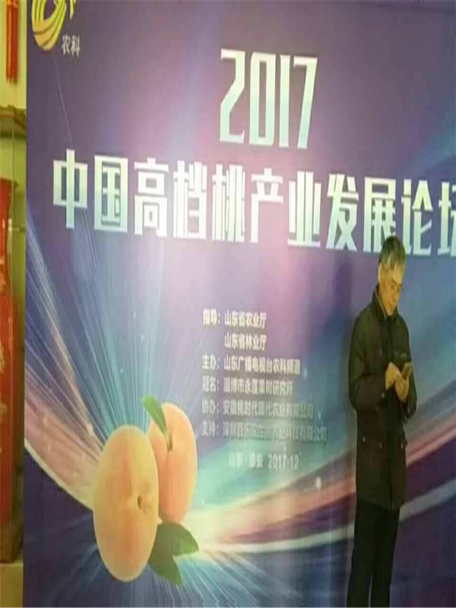 杏樹苗多少錢一棵，金太陽杏樹多少錢杏樹報價多少錢