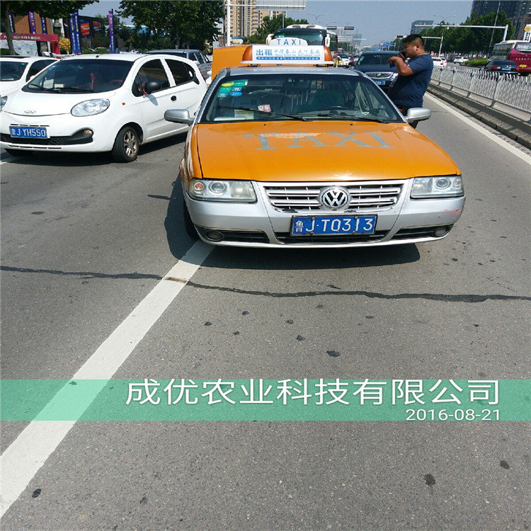 杏樹苗一棵多少錢四公分杏樹苗基地