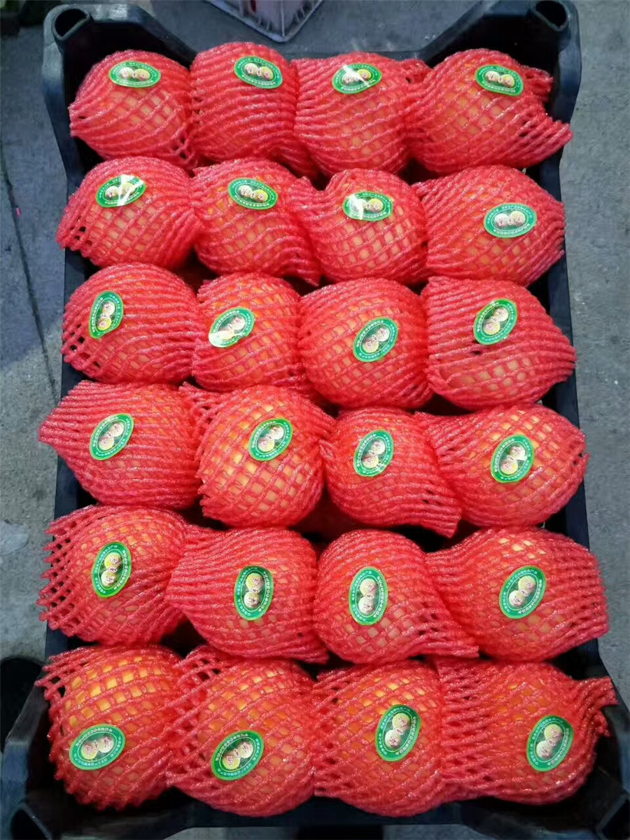 桃樹油蟠7號，的桃樹品種