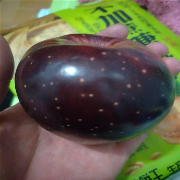杏樹苗多少錢,矮化蘋果苗