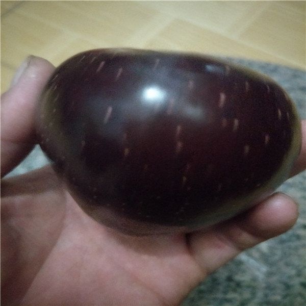 嫁接梨樹苗供應(yīng)商電話,矮化蘋果苗
