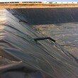 厂家直销土工膜垃圾场用高密度聚乙烯土工膜水塘防渗用HDPE土工膜图片