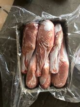 抽血清小牛肉图片