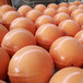 永善县优质复合航空警示球质量可靠,成品警航球