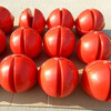 南京航空標志球廠家,防紫外線警航球
