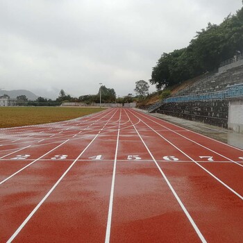 盘锦大洼塑胶跑道硅PU设计材料