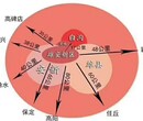 白沟的房价是多少雄安周边精装公寓图片