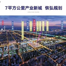 海南白沟房产京雄世贸港周边价值图片