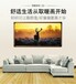 上海智能发热家居纳米碳纤维电热膜电热墙面电热壁画健康省电