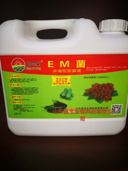 EM菌液