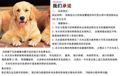 泸州龙马潭马犬大型养狗场图片5