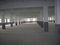 东莞横沥新出院厂房8500平方无公摊租金便宜图片1