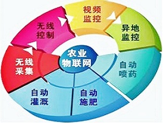 濠江区策划规划图做实施方案团队