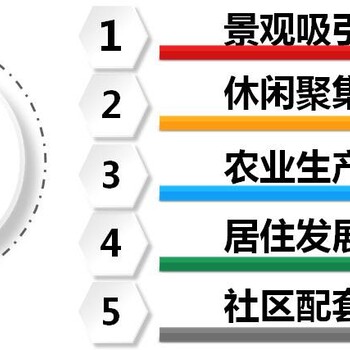 洛阳申报可行报告项目程序短洛阳守职业素养