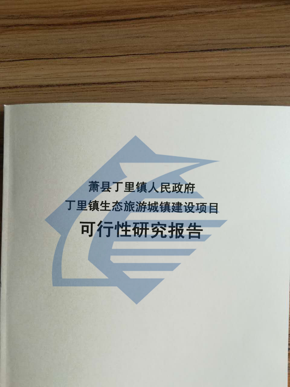 卓尼项目稳定回报论证报告焊接生产项目