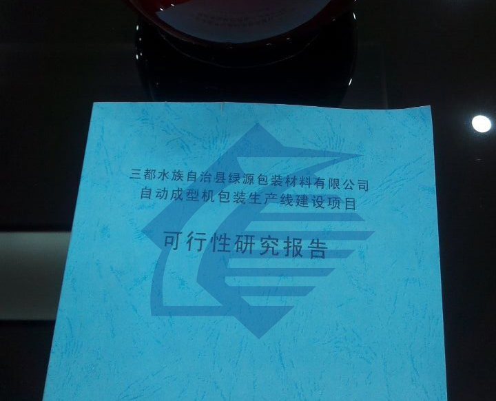 广西柳州可研报告编写精华年产淀粉胶5000吨项目