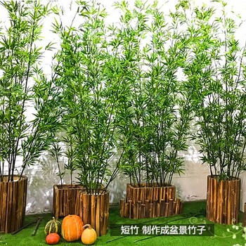仿真竹子客厅塑料假绿叶子细竹隔断屏风酒店造景室内外装饰植物墙