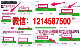 新闻：微商排名团队多少钱？百度免费发布信息？图片2