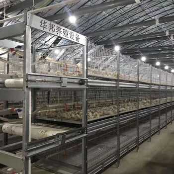 黑龙江地区自动清粪框架鸡笼