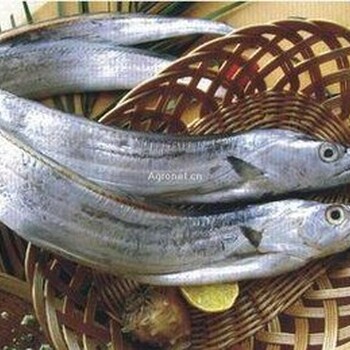 进口巴基斯坦带鱼的清关关税