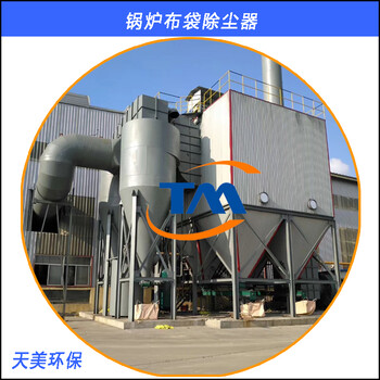 6吨锅炉布袋除尘器结构图安徽淮南