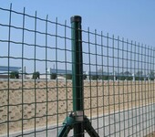安平源海主要生产荷兰网护栏网养殖护栏网圈地护栏网质优价廉