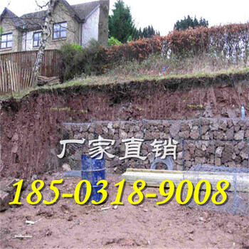 一站式賓格網(wǎng)廠家A賓格石籠網(wǎng)廠家