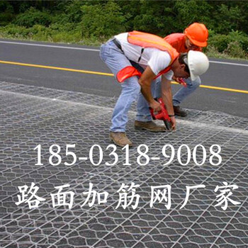 路面加筋網(wǎng)廠家HL雙絞合路面加筋網(wǎng)廠家HL路面加筋網(wǎng)價格