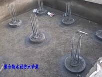 聚合物水泥防水砂浆三明市泰宁县销售-%行业资讯图片2