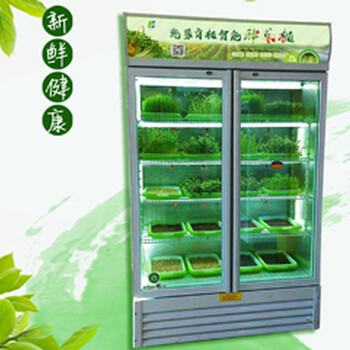 吃綠色蔬菜就選乾蒙有機(jī)智能種菜機(jī)