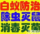 天河车陂灭白蚁公司%车陂白蚁防治%彻底除白蚁公司