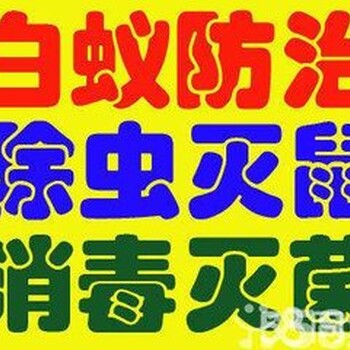 广州荔湾区捕鼠公司，上门灭老鼠，广州灭老鼠，清理死老鼠