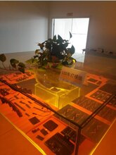 新能源LED车转向灯图片