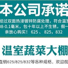 湖北省钢架大棚骨架图片