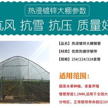 克拉玛依钢架大棚多少钱一平方图片