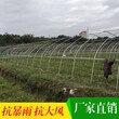 石门一亩地蔬菜大棚造价