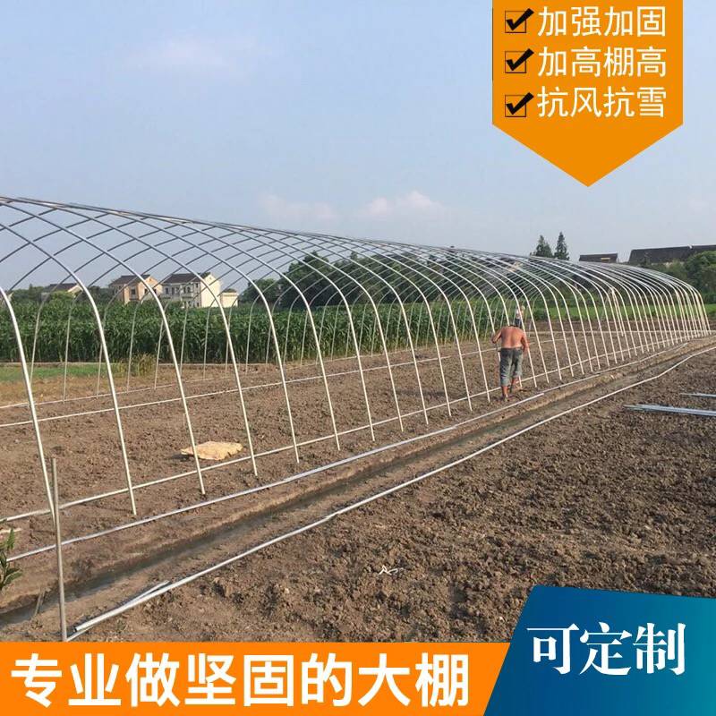 雄县温室蔬菜大棚建设