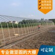 延津蔬菜大棚成本图片