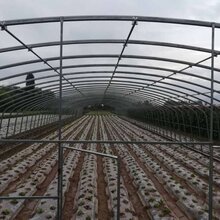 新北区大棚钢架多少钱一吨图片