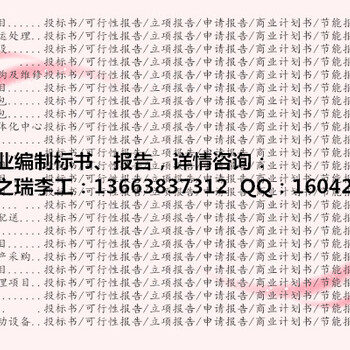 大化县做标书、写标书-手把手教投标的咨询师