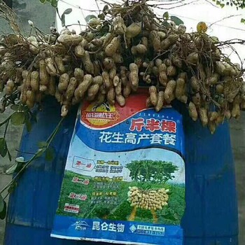 花生上面用什么产品好增产效果明显结花生多斤半颗花生三遍药