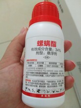 优利普-34%螺螨酯悬浮剂，高温防治红蜘蛛、锈壁虱效果
