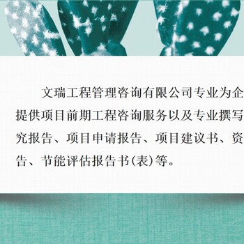 深圳会做可行性研究报告/精通报告公司