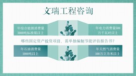 辽宁盘锦建厂可行性报告-项目立项申请图片0