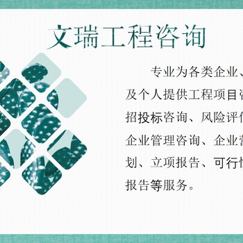 阿里写可行性研究报告公司做报告立项、批地